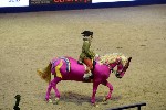 Quadrille - 00519